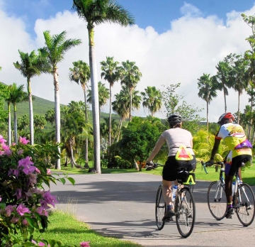 Bicycle Tours - Island Discovery