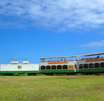 St. Kitts Scenic Train