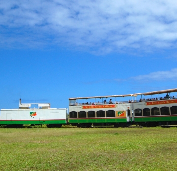 St. Kitts Scenic Train