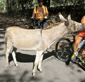 Bicycle Tours - History and Heritage