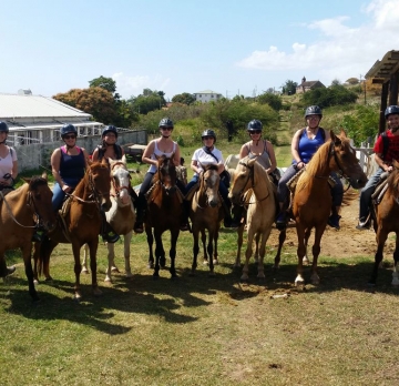 Horseback Rainforest